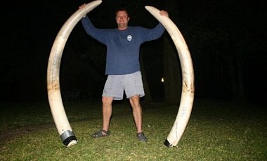 В Зимбабве убитая слониха расплюснула профессионального охотника