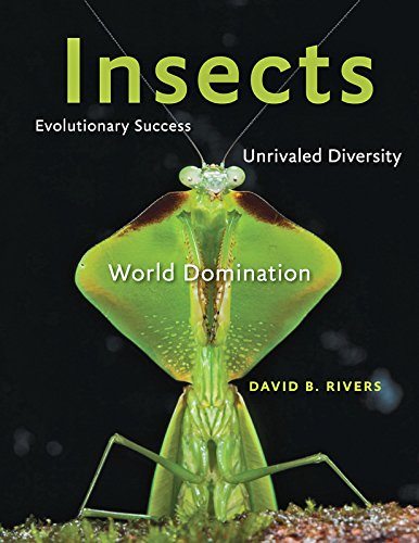 Insects Evolutionary Success, Unrivaled Diversity, and World Domination