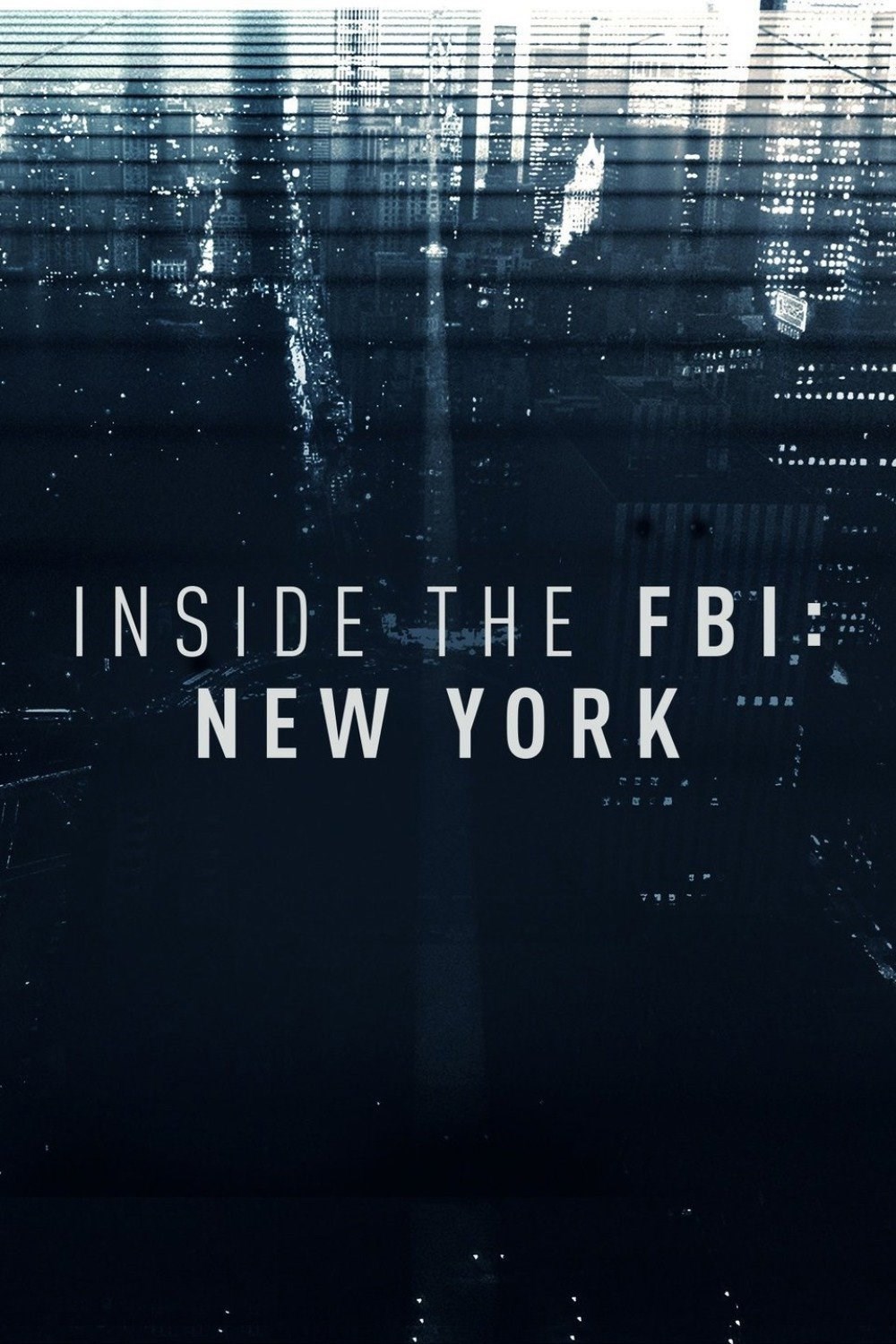 Фильм Работа ФБР в Нью-Йорке: взгляд изнутри (1 сезон)