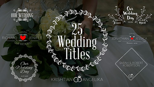 Wedding Titles 19761639 - Project for After Effects (Videohive)
