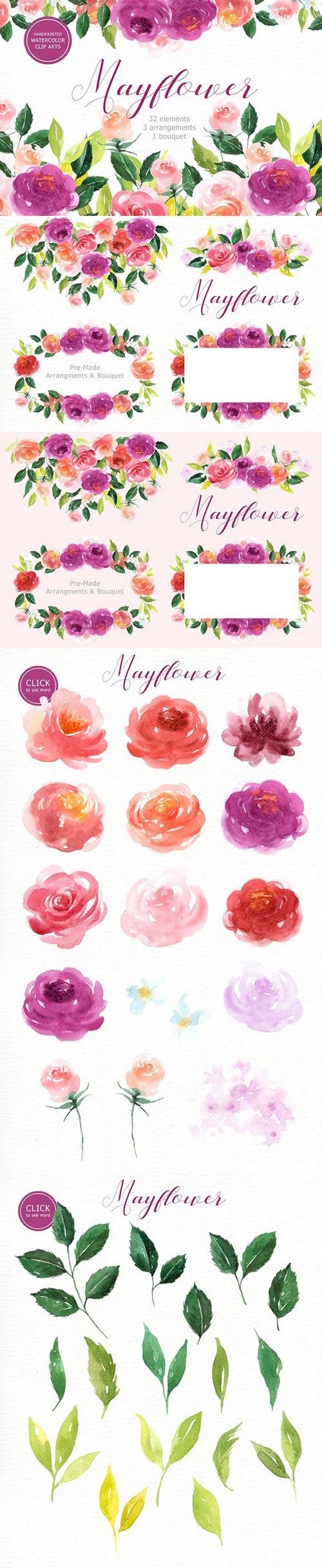 Mayflower Floral Watercolor clipart 1471777