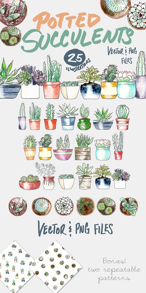 Potted Succulents Illustration Pack - 718043