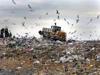 Во Львове взят директор фирмы, занимающейся вывозом мусора