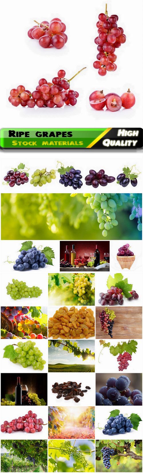 Ripe white and red grapes fruit with leaves and vine 25 HQ Jpg