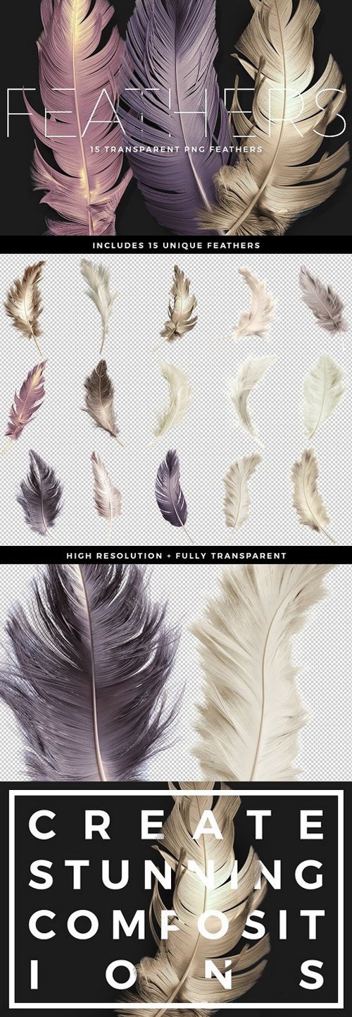 Transparent PNG Feathers Pack 1505546