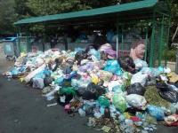Во Львове скопилось 8,5 тыс. тонн невывезенного мусора