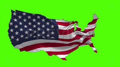 USA Shape Flag