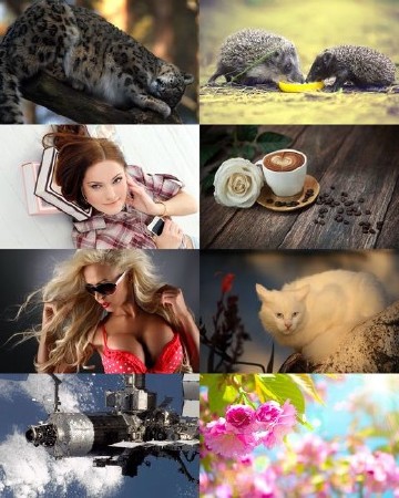 Wallpapers Mix №562