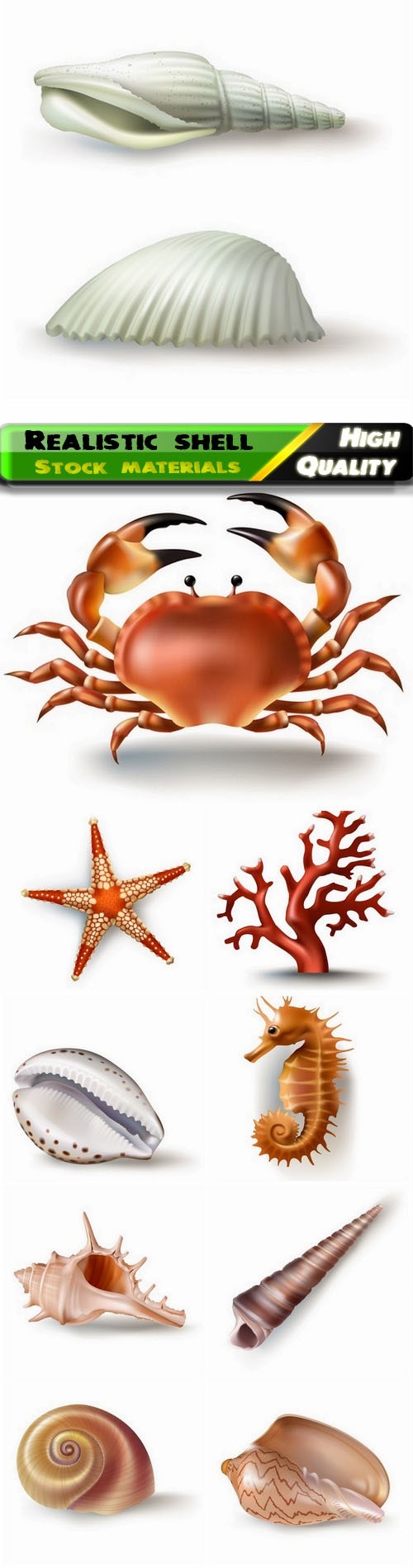 Realistic sea and ocean shell coral crab 10 Eps