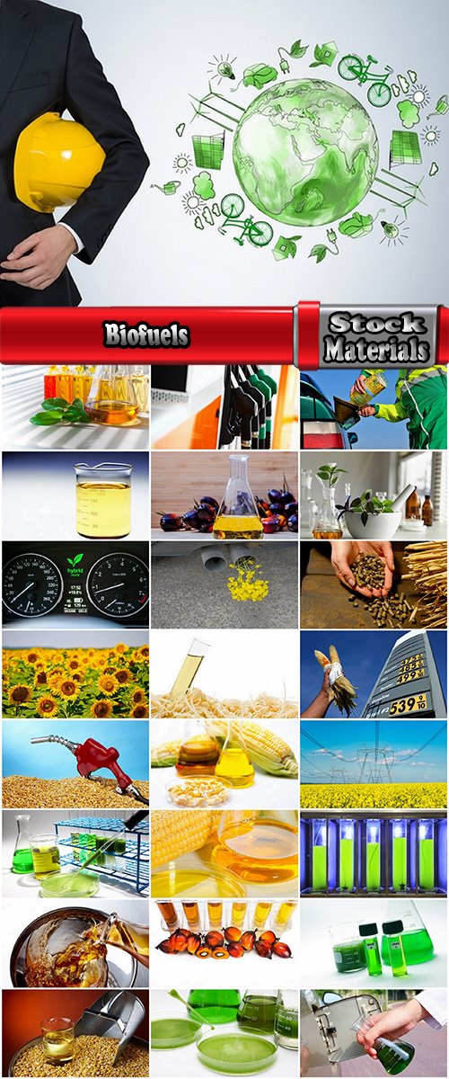 Biofuels diesel fuel from rapeseed plant corn oil sunflower alternative energy 25 HQ Jpeg
