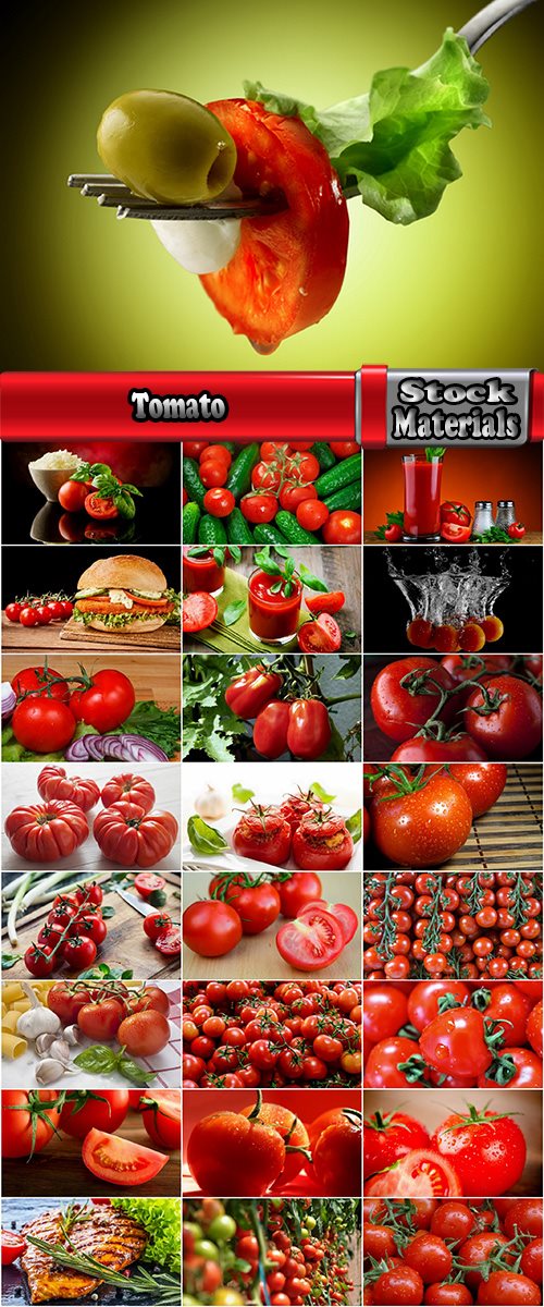 Tomato red vegetable vitamin plant 25 HQ Jpeg
