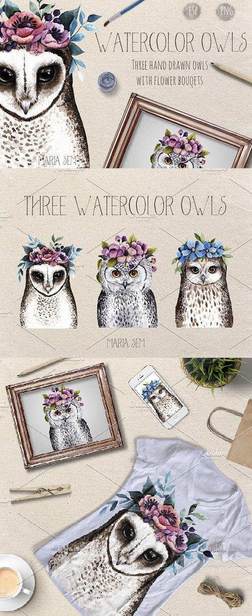 Watercolor Owls 1559736