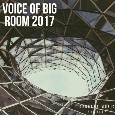 Voice Of Big Room 2017 (2017)