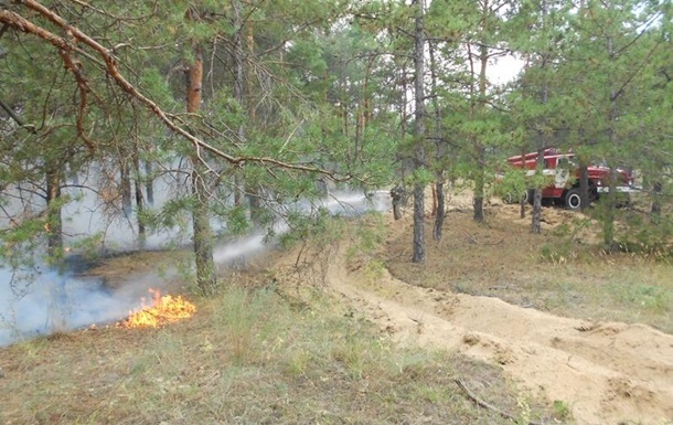 Пожары в лесах Херсонщины вызваны поджогами – глава ОГА