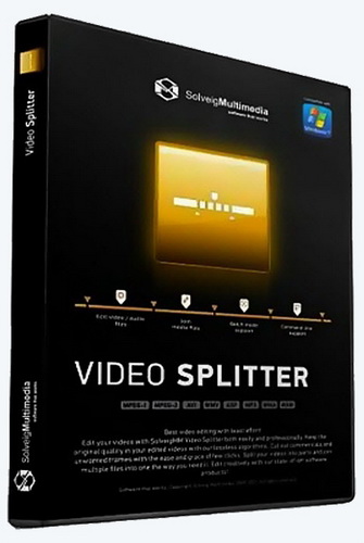 SolveigMM Video Splitter 6.1.1707.19 Business Edition (2017) RUS + Portable