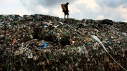 50 млн гривень поделят между 15 полигонами, какие принимают мусор из Львова