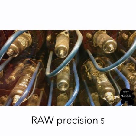 Raw Precision 5 (2017)