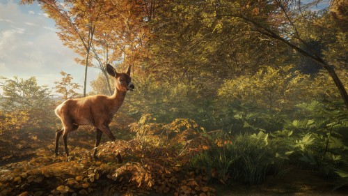 TheHunter: Call of the Wild [v 1.14 + DLCs] (2017) [MULTI][PC]