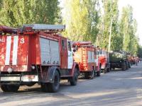 В Запорожской области приключился лесной пожар на острове Хортица