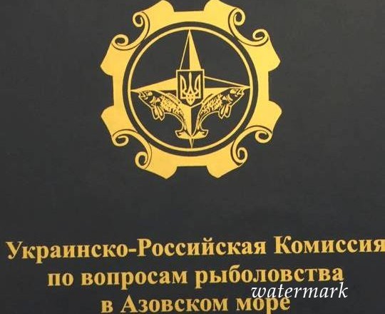 В Киеве остановила работу российско-украинская комиссия по рыболовству в Азовском море