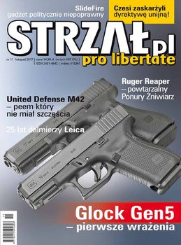 Strzal 2017-11 (12)