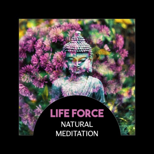 VA - Life Force: Natural Meditation, Total Relaxing, Anxiety Free Life (2017)