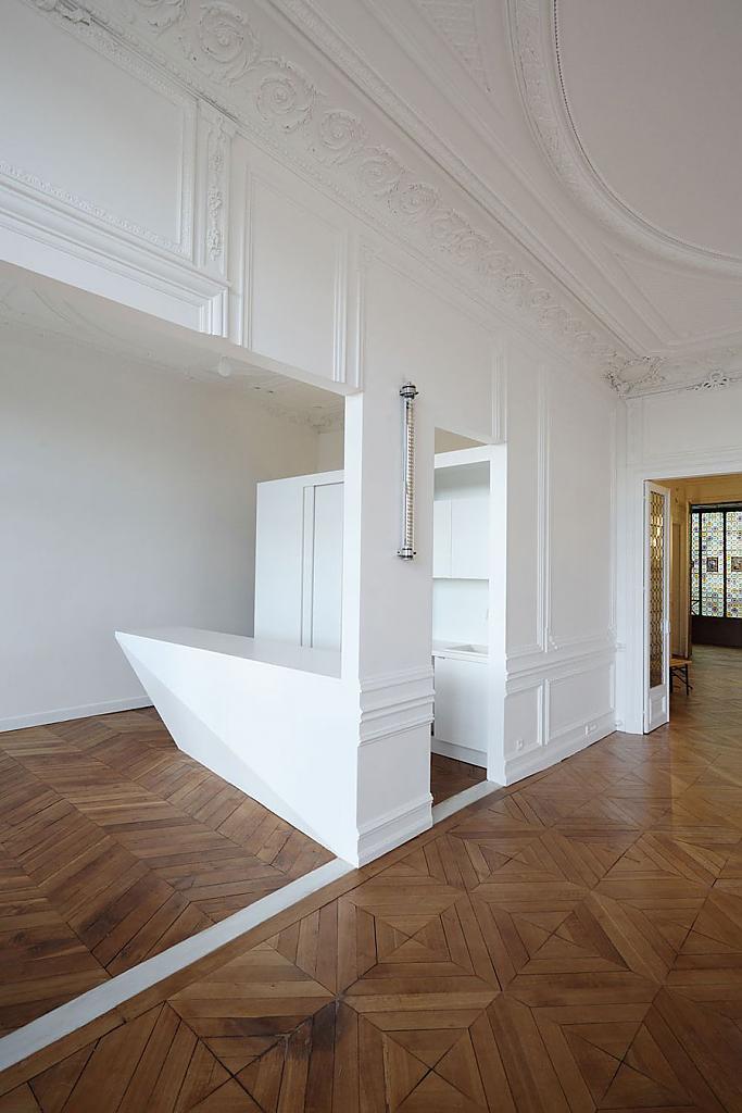 Шикарный дизайн гигантской квартиры napoleon flat от freaks freearchitects, париж, франция