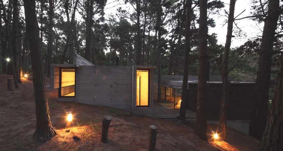 Летний загородный дом в современном стиле посреди леса