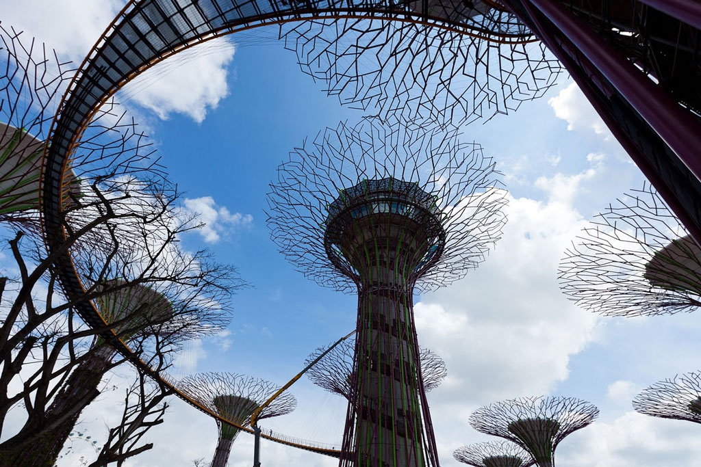 Висячие сады семирамиды в сингапуре: умопомрачительная композиция gardens by the bay