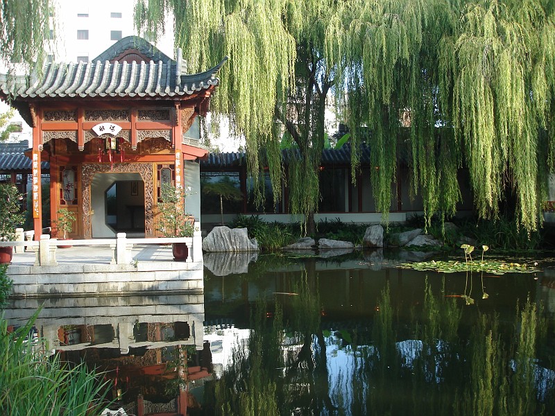 Китайский сад — шаг за шагом к гармонии между внутренним миром и окружающей природой