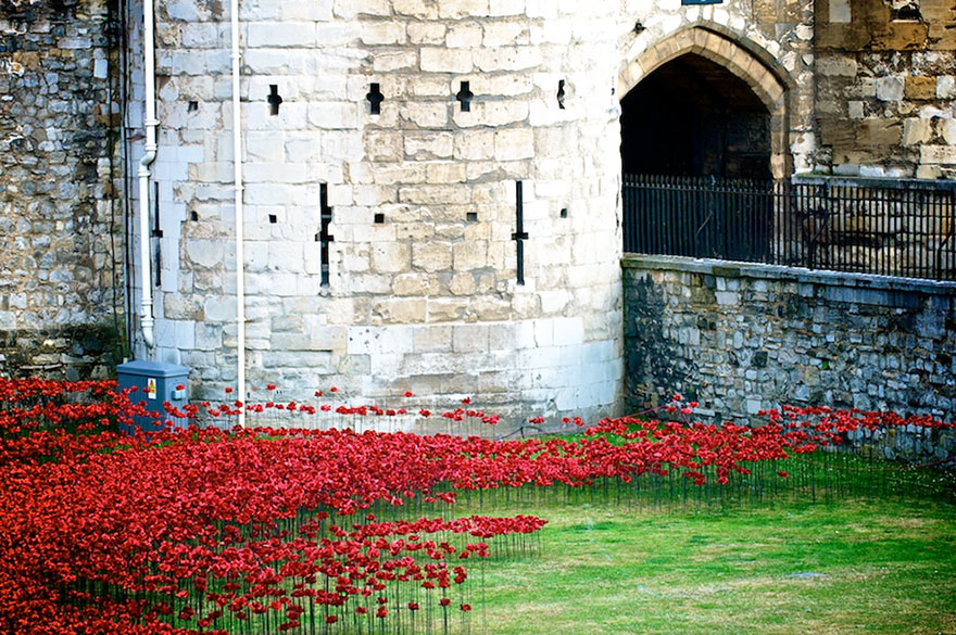 Море красных маков в тауэре в память о жертвах войны — незабываемое зрелище из простых пластиковых цветов