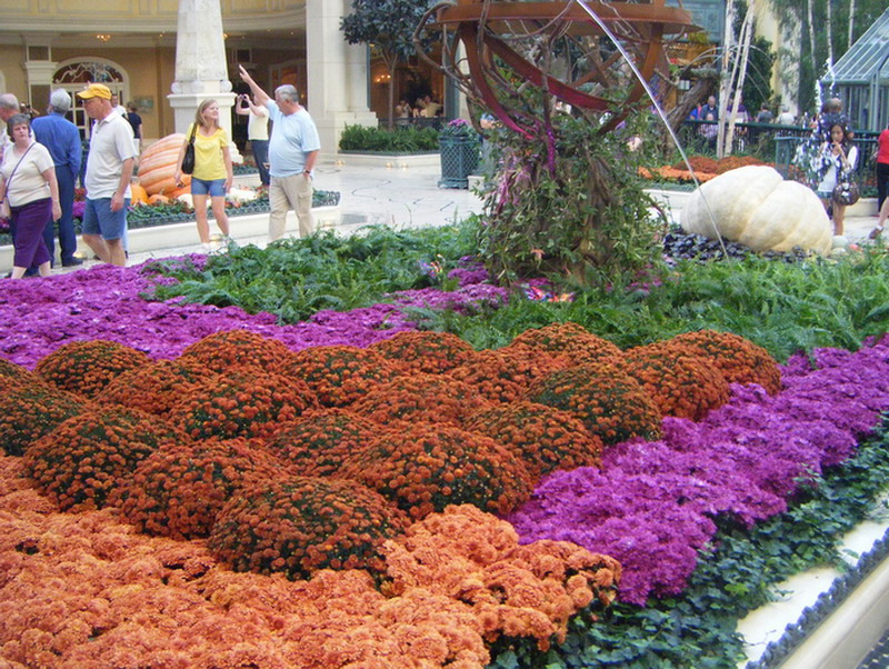 Впечатляющие цветники и неисчислимые дизайнерские находки в садах гостинично-торгового комплекса белладжо, лас-вегас