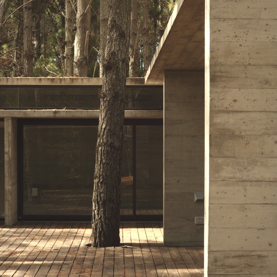 Летний загородный дом в современном стиле посреди леса