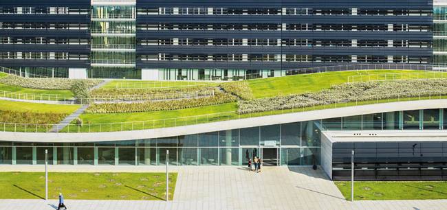 Зелёные крыши в архитектуре: как сделать здание частью окружающей среды?