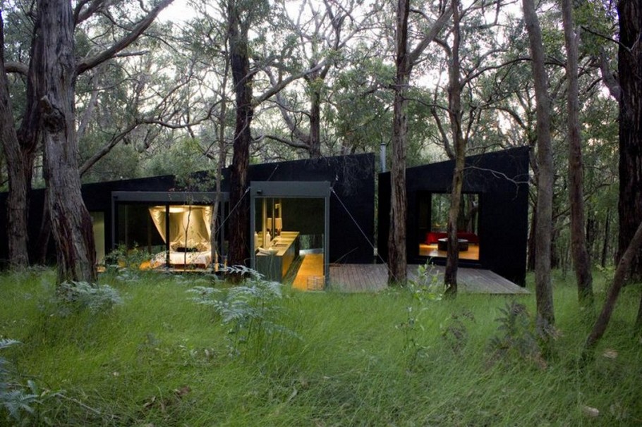 В объятиях дикой природы или место для релаксации: замечательный домик в лесу red hill от david luck architecture, австралия