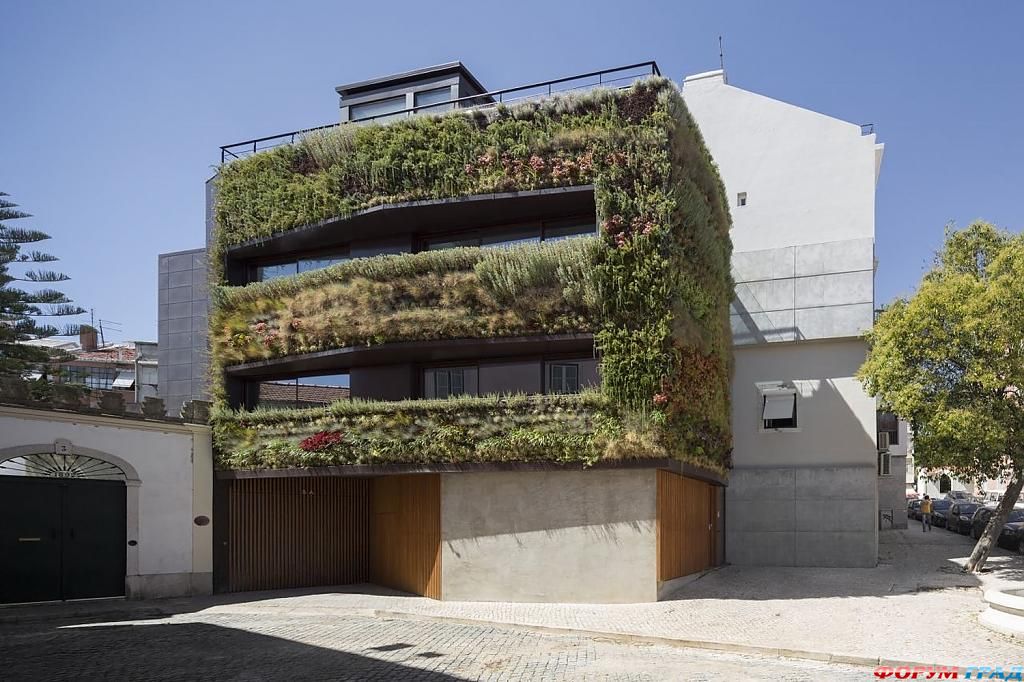 Декорирование фасада дома: загадочные тайны особняка за зелёным занавесом, лиссабон, португалия