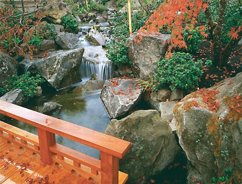 Взаимопроникновение культур в яркой ландшафтной композиции – сад в японском стиле на средиземноморье