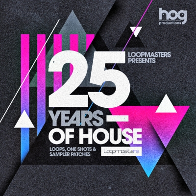 Loopmasters - Gianni Bini Presents: 25 Years Of House (KONTAKT)