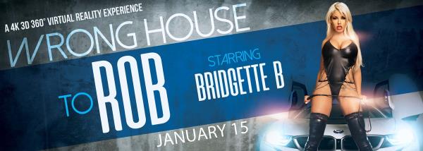 Bridgette B (The Wrong House To Rob / 15.01.2017) [Oculus | SideBySide]