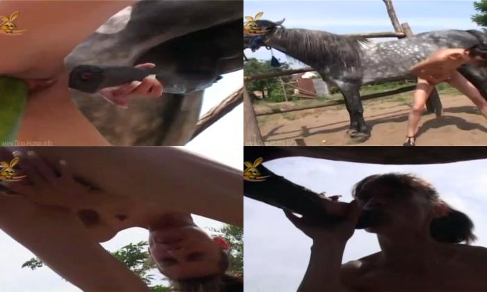 6060cc2da7a8bceec0fba68689d45116 - Animal Sickness Stallion Horse - C / AnimalSex Video