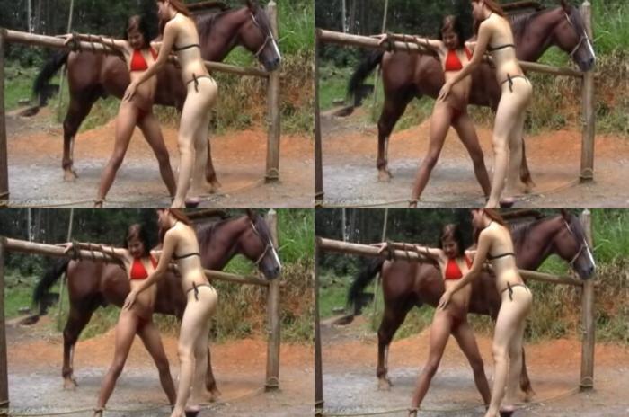 50a324d6ffec0202948d6c93c2d27417 - Stallion Horse Dick Love Milf / AnimalSex Video