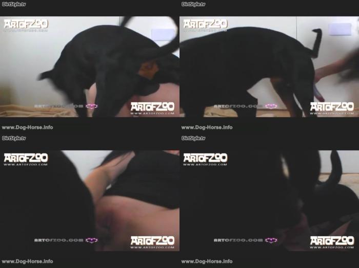 3c2979200d619eacb2727f70a9fcf51d - Artofzoo - Vixen - Knotting Away / AnimalSex Video