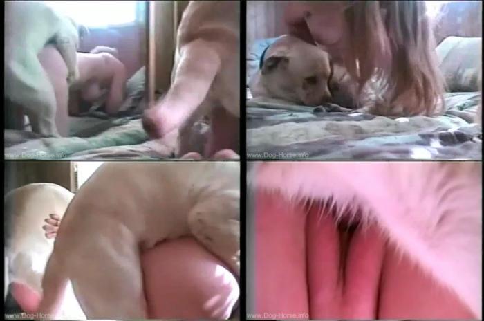929483471effd48c29648e3d5bfea42c - Playing In Bed / AnimalSex Video