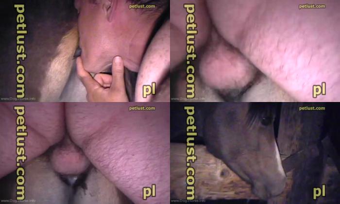 27d4e8753bd57727e0fd51a176370b48 - Petlast - My Lovely Horse Fucking / AnimalSex Video