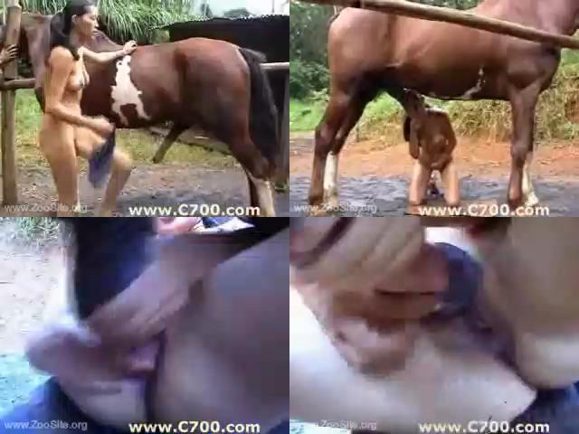 a9799c5570ef2fd018b0a3ba3a4e284c - Fucking With Stallion Horse / AnimalSex Video