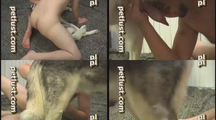 819389237c32226431631af7cb91a759 - Man Fuck Animals - Petlust - Husky Hardon / AnimalSex Video