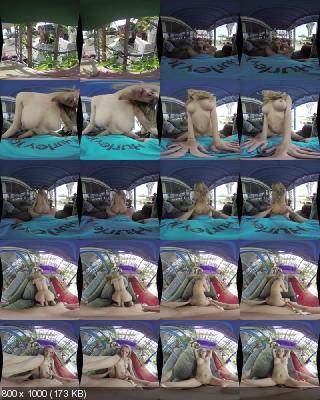 MilfVR: Pristine Edge - Peeping Tom / VR with Busty Milf [Samsung Gear VR]